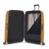 Proxis spinner grande Proxis spinner grande
