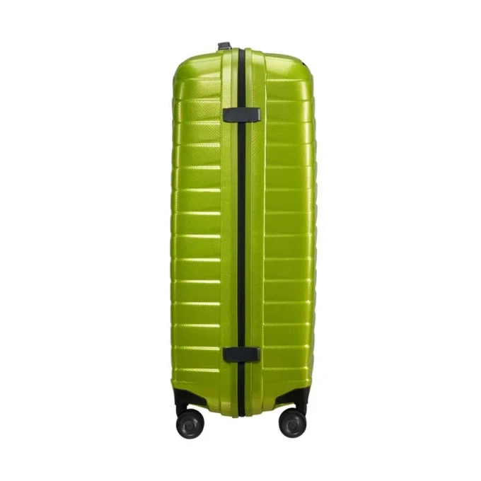 Proxis spinner grande Proxis spinner grande
